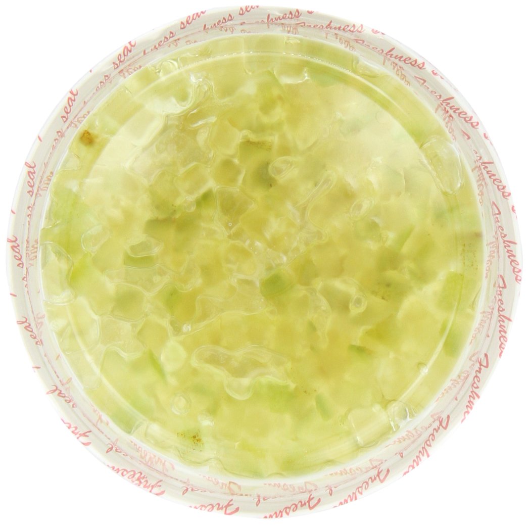 Amazon.com: Paradise Diced Citron, 8 Ounce